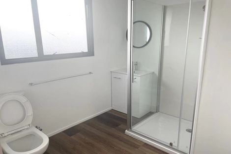 Photo of property in 3/17 Barneys Farm Road, Clendon Park, Auckland, 2103
