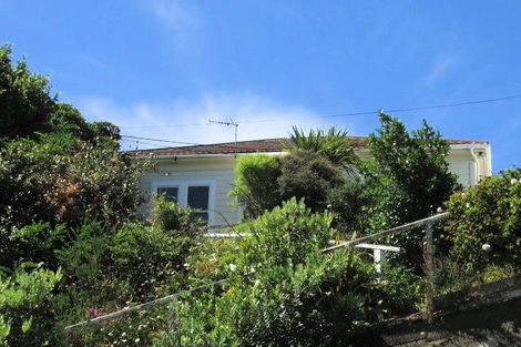 Photo of property in 135 Coromandel Street, Newtown, Wellington, 6021