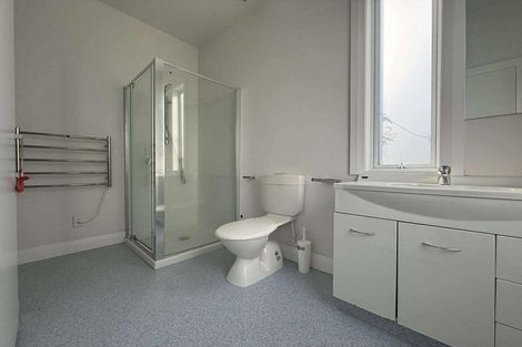 Photo of property in 28 Donald Mclean Street, Newtown, Wellington, 6021