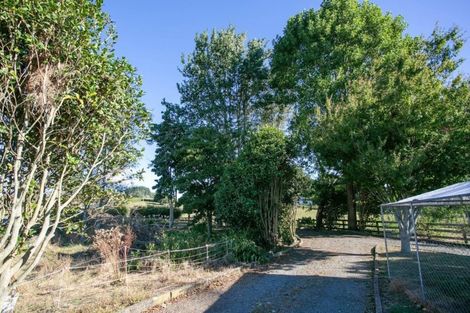 Photo of property in 429 Morgan Road, Matamata, 3472