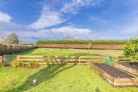 Photo of property in 29 Boyd Road, Gordonton, Hamilton, 3281