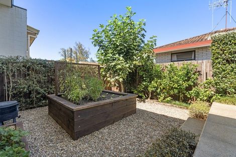 Photo of property in 183 Edgecumbe Road, Tauranga South, Tauranga, 3112