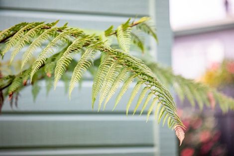 Photo of property in 90a Bader Street, Bader, Hamilton, 3206