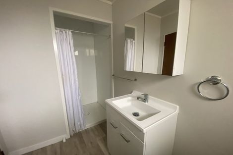 Photo of property in 306 Ulster Street, Whitiora, Hamilton, 3200