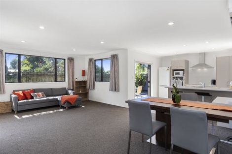 Photo of property in 241b Maungatapu Road, Maungatapu, Tauranga, 3112