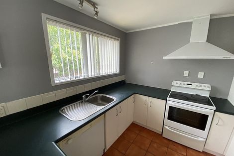 Photo of property in 13 Goodwin Drive, Rosehill, Papakura, 2113