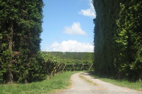 Photo of property in 1/399 No 1 Road, Te Puke, 3182