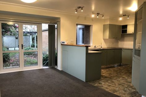 Photo of property in 5 Rewarewa Place, Matua, Tauranga, 3110