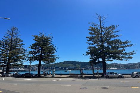 Photo of property in 13 Grass Street, Oriental Bay, Wellington, 6011