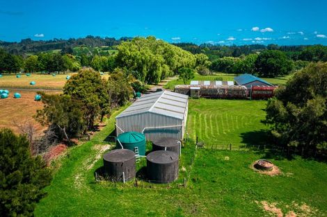 Photo of property in 193 Pine Valley Road, Dairy Flat, Silverdale, 0992