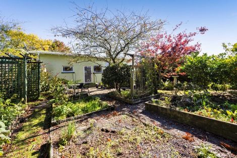 Photo of property in 70 Swansea Road, Stratford, 4332