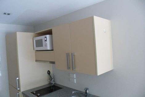 Photo of property in Dual Apartments, 108/142u Vivian Street, Te Aro, Wellington, 6011