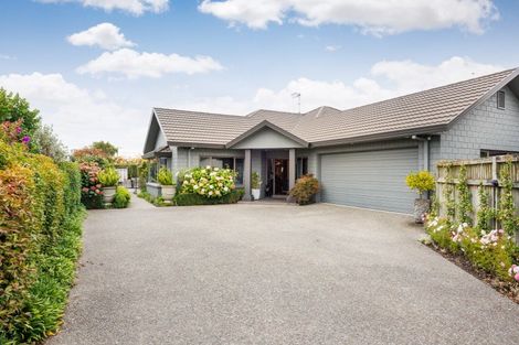Photo of property in 23 North Street, Palmerston North, 4410