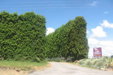 Photo of property in 299 No 1 Road, Te Puke, 3182