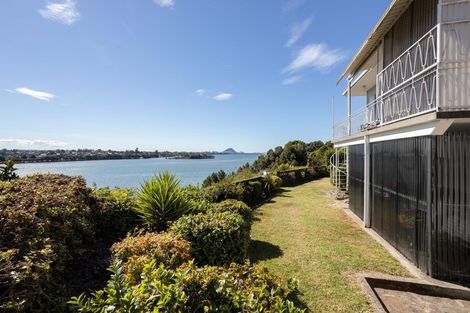 Photo of property in 63 Ririnui Place, Maungatapu, Tauranga, 3112