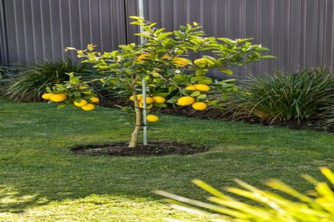 Photo of property in 24 Blacklock Road, Pyes Pa, Tauranga, 3112