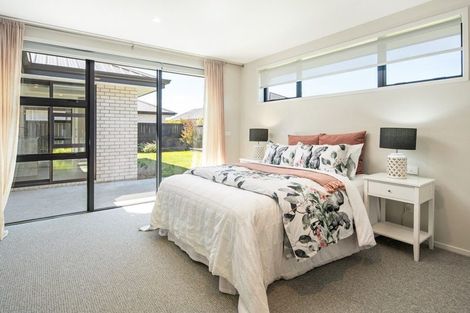 Photo of property in 12 Mustang Alley, Burleigh, Blenheim, 7201