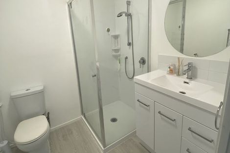 Photo of property in 17e Maitland Street, Frankton, Hamilton, 3204