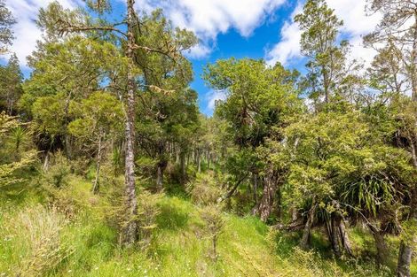 Photo of property in 183 Koutu Loop Road, Whirinaki, 0473