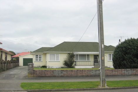 Photo of property in 118 Tiro Tiro Road, Levin, 5510
