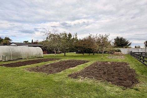 Photo of property in 249 Pukeuri-oamaru Road, Pukeuri, Oamaru, 9493