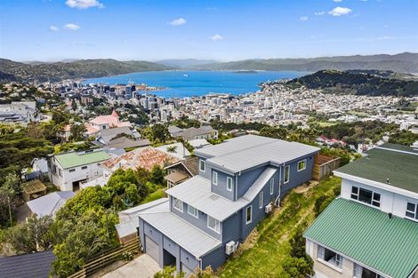 Photo of property in 91 Karepa Street, Brooklyn, Wellington, 6021