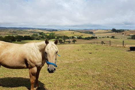 Photo of property in 221 Mclean Road, Waipu, 0582