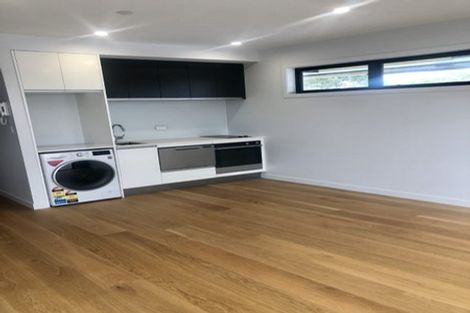 Photo of property in Frank Sargeson Apts, 1/74g Anzac Street, Takapuna, Auckland, 0622