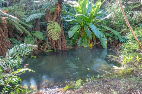 Photo of property in 458f Hihi Road, Hihi, Mangonui, 0494