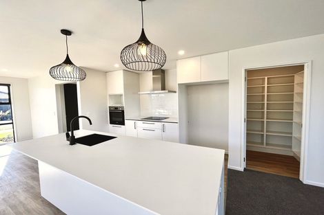 Photo of property in 67 Nethercote Way, Rolleston, 7614