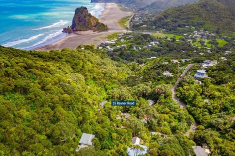 Photo of property in 55 Rayner Road, Piha, New Lynn, 0772