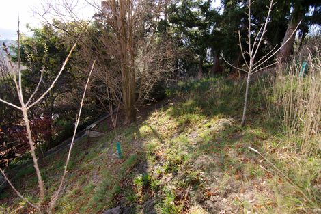 Photo of property in 8 Edinburgh Street, Roxburgh, 9500