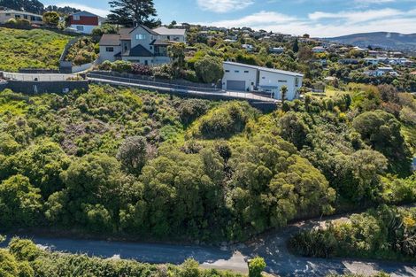Photo of property in 2l Clayton Street, Saint Clair, Dunedin, 9012
