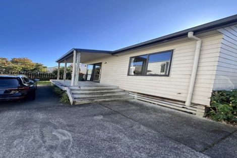 Photo of property in 64 May Street, Hamilton East, Hamilton, 3216