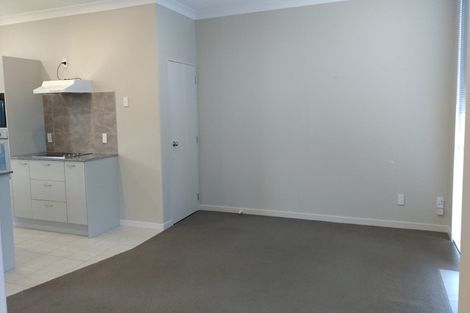 Photo of property in 17 Concepts Way, Flat Bush, Auckland, 2019
