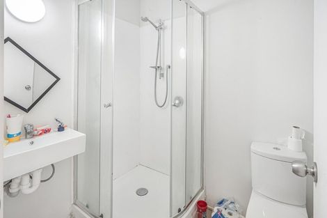 Photo of property in 102 Newcastle Road, Dinsdale, Hamilton, 3204