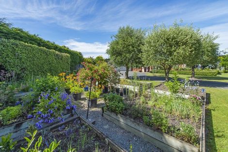 Photo of property in 19 Brahman Close, Prebbleton, 7604