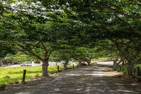 Photo of property in 200 Corbett Road, Waihi, 3681