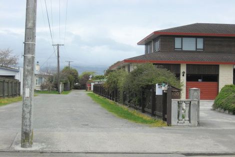 Photo of property in 124 Tiro Tiro Road, Levin, 5510