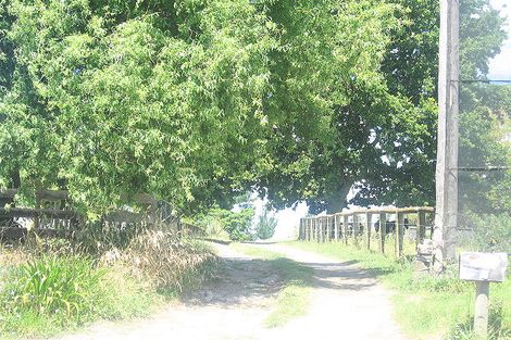 Photo of property in 259 No 1 Road, Te Puke, 3182