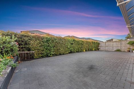 Photo of property in 9 Hermes Road, Flat Bush, Auckland, 2019