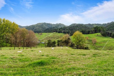 Photo of property in 316 Mountain Road, Maungaturoto, 0587