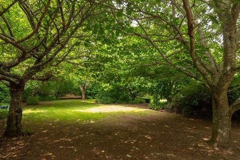 Photo of property in 116 Tuapiro Road, Tahawai, Katikati, 3170