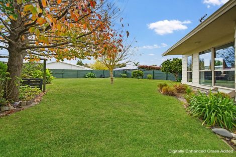 Photo of property in 1308 Jellicoe Street, Mayfair, Hastings, 4122