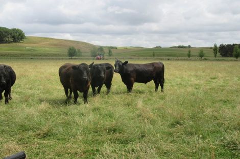 Photo of property in 359 Mangatarata Road, Waipukurau, 4285