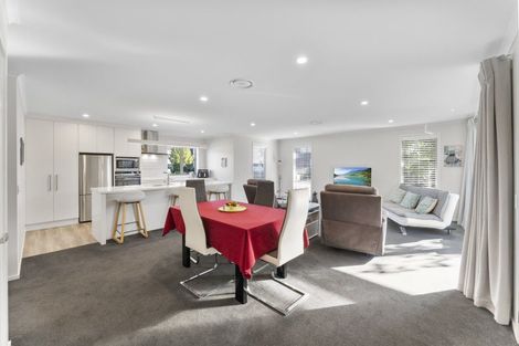 Photo of property in 17 Youngberry Drive, Richmond, 7020
