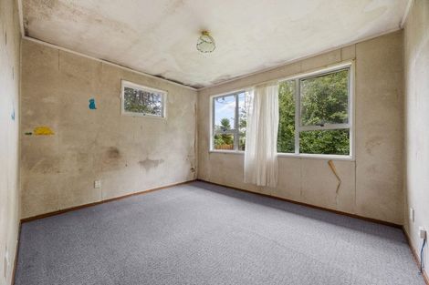 Photo of property in 9 Ascot Avenue, Henderson, Auckland, 0610