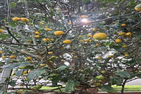 Photo of property in 44a Saint Ronans Avenue, Waterloo, Lower Hutt, 5011