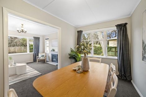 Photo of property in 19 Hobson Street, Levin, 5510