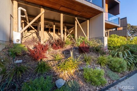 Photo of property in 45 Avon Street, Island Bay, Wellington, 6023